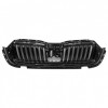 Grila Radiator Oe Skoda Octavia 4 2020&rarr; Negru 5E3853653ZD4