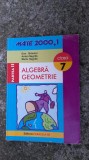 Cumpara ieftin ALGEBRA GEOMETRIE CLASA A VII A BRANZEI ,NEGRILA, Clasa 7, Matematica