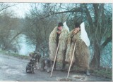 Bnk cp Sarbatori in Transilvania - Pastori la drum - necirculata, Fotografie, Sibiu