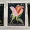 (B ) Timbre serii Straine Flora Flori Ungaria Trandafiri