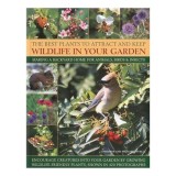 The Best Plants To Attract And Keep Wildlife In Your Garden Making A Backyard Home For Animals Birds Insects Encourage Creatures Into Your Garden By G