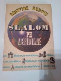 SLALOM PE MERIDIANE ~ ARISTIDE BUHOIU