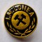 IM - Intreprinderea Miniera LONEA - insigna minerit anii 1970 - RSR