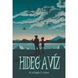 Hideg a v&iacute;z - B. D. Al&iacute;z