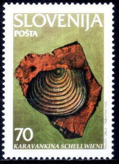 C1234 - Slovenia 1995 - Fosile neuzat,perfecta stare foto