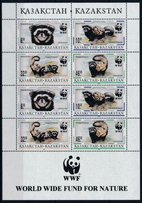 KAZAHSTAN 1997 WWF DIHORI