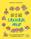 Cumpara ieftin Uite ce face creierul meu! O carte din care &icirc;nțelegi, &icirc;n sf&acirc;rșit, ce se &icirc;nt&acirc;mplă &icirc;n mintea ta - Gr&eacute;goire Borst, Mathieu C..., Arthur