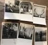 Fotografii Pojorata Suceava Vanatoare Trofee