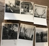 Fotografii Pojorata Suceava Vanatoare Trofee