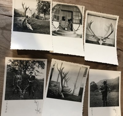 Fotografii Pojorata Suceava Vanatoare Trofee foto