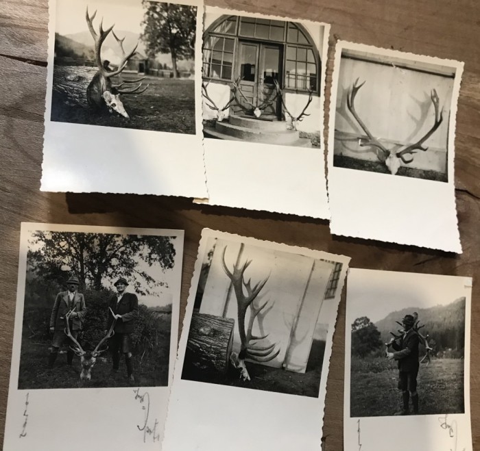 Fotografii Pojorata Suceava Vanatoare Trofee