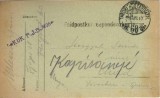 CP1724N Feldpostkorrespondenzkarte, 1916, ștampila Feldj&auml;gerbataillon Nr 28, T&aacute;bori posta 60, expediată de pe frontul italian la Arad