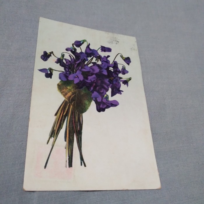 CARTE POSTAL FELICITARE 1915 CIRCULATA