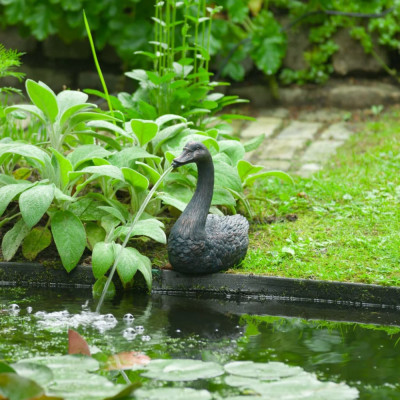 Ubbink Stropitor plutitor pentru fantana de gradina,&amp;icirc;n forma de lebada GartenMobel Dekor foto