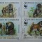 CAMERUN SERIE FAUNA