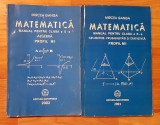 Manuale matematica clasa X profil M1 Mircea Ganga (2 vol)
