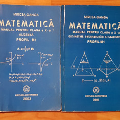 Manuale matematica clasa X profil M1 Mircea Ganga (2 vol)