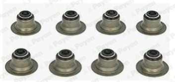 PAYEN HR656 Set garnituri, ax supape