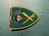 Insigna Batalionul 1 Operatii Speciale Vulturii