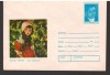 CPIB16907 INTREG POSTAL - NICOLAE TONITZA - FATA PADURARULUI, Necirculata, Fotografie