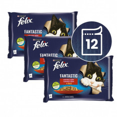 FELIX Fantastic pliculețe cu miel și iepure în gelatină 12 x 85 g