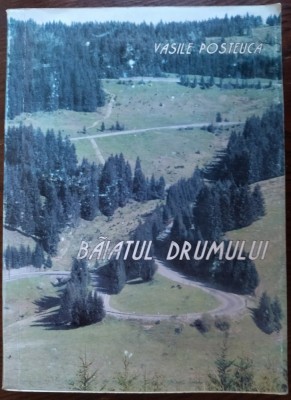 VASILE POSTEUCA: BAIATUL DRUMULUI (ROMAN 2000) [ingrijitor/prefatator ION CRETU] foto