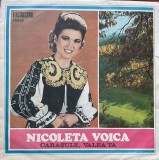 Nicoleta Voica &ndash; Carasule, valea ta