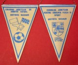 Fanion fotbal - Colegiul Judetean de Arbitri Fotbal - Bistrita Nasaud