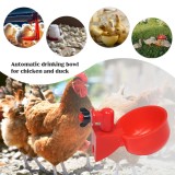 Set 4 Boluri Apa Pasari Rosii, Plastic, 10.5 cm, Accesorii Automate Petshop