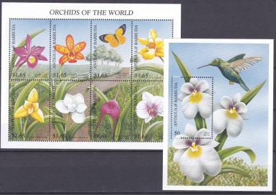 DB1 Flora Orhidee Pasari Colibri Antigua &amp;amp; Barbuda 1997 MS + SS MNH foto