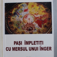 PASI IMPLETITI CU MERSUL UNUI INGER de DAVID MCNEIL , 2005