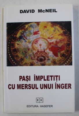 PASI IMPLETITI CU MERSUL UNUI INGER de DAVID MCNEIL , 2005 foto