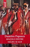 Spatiile dintre negru si alb - Dumitru Popescu