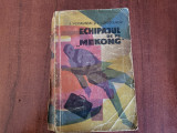 Echipajul de pe &quot;Mekong&quot; de E.Voiskunski si I.Lukodianov