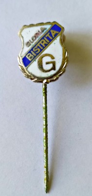 INSIGNA GLORIA BISTRITA 1922 PROGRESUL BISTRITA CERAMICA BISTRITA EMAIL CALD foto