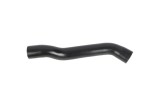 NRF 166157 Furtun ear supraalimentare