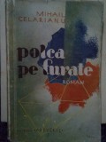 Mihail Celarianu - Polca pe furate