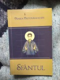 n5 Sfantul - Maria Pastourmadzis
