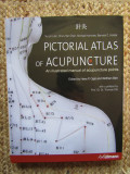 Pictorial Atlas of Acupuncture: An Illustrated Manual Lian Yu-Lin