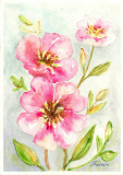 E105. Tablou original, Roze, 2023, acuarela pe hartie, neinramat, 21x29 cm, Flori, Impresionism