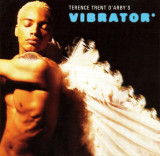 CD Terence Trent D&#039;Arby &ndash; Terence Trent D&#039;Arby&#039;s Vibrator (VG+), Pop