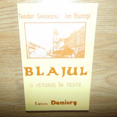 BLAJUL -O ISTORIE IN TEXTE TEODOR SEICEANU SI ION BUZASI