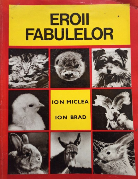 Ion Miclea - Eroii fabulelor (1971)