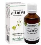 EXTRACT DIN MUGURI DE VITA DE VIE 50ML, Plantextrakt