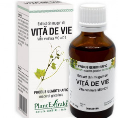 Extract din muguri de vita de vie 50ml