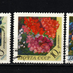 Rusia, URSS, 1970 | Flori decorative - Plante | Serie completă | aph