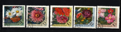 Rusia, URSS, 1970 | Flori decorative - Plante | Serie completă | aph foto