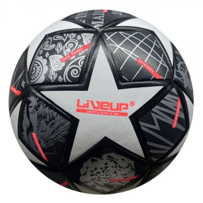 Minge Fotbal LiveUp, Nr. 5, Multicolor foto