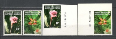 Camerun.1976 Flori DF.286 foto