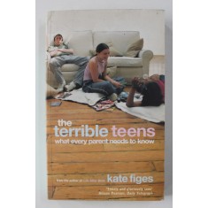 THE TERRIBLE TEENS: WHAT EVERY PARENT NEEDS TO KNOW by KATE FIGES , 2002